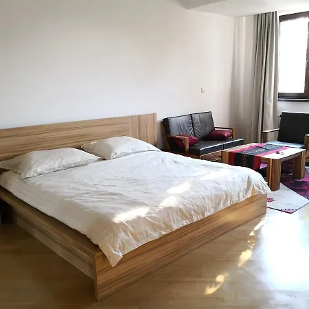 公寓 Luxury 塞拉耶佛